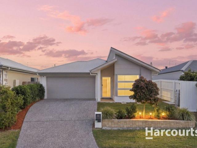 Beautifully Presented Family Home with Exceptional Lifestyle and Convenience in Park Ridge