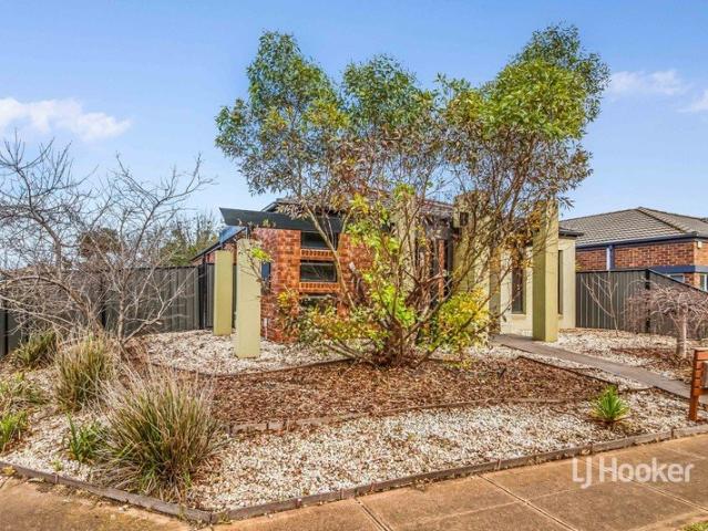 Beautifully Presented Home in Prestigious Innisfail Estate! APPLICATIONS NOW OPEN