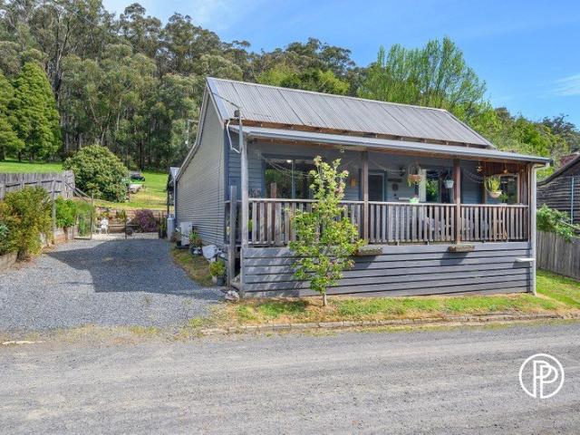 BEAUTIFULLY RENOVATED CHARACTER COTTAGE ON THE EDGE OF THE STATE FOREST