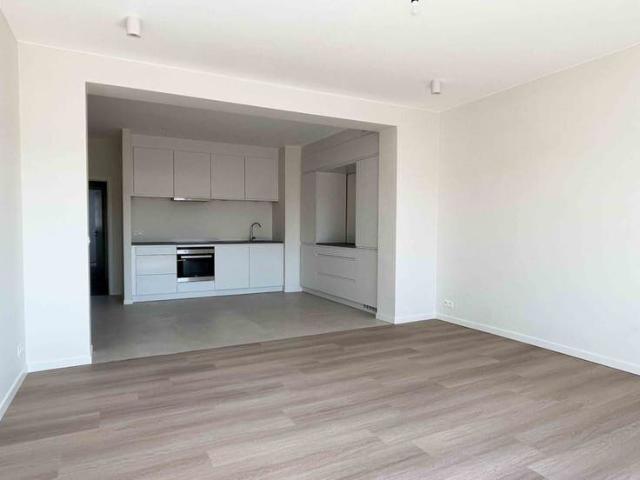 Beautifully renovated apartments for rent