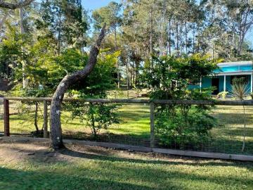 Beautifully Renovated Beach Style Retreat in Peaceful Leafy Setting