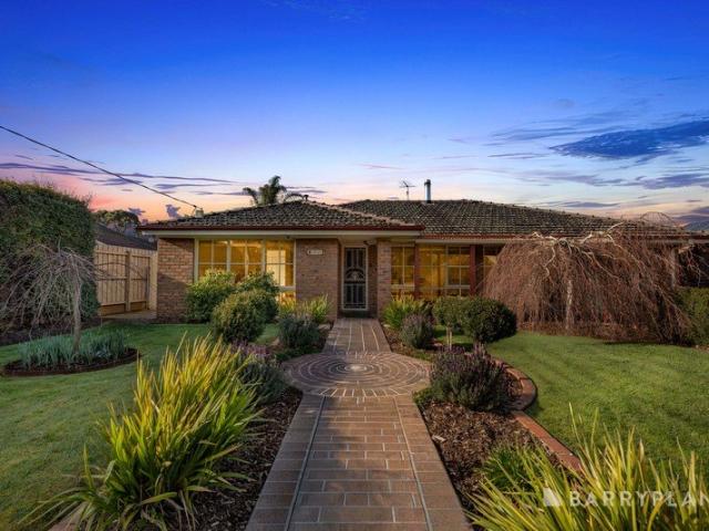 Beautifully Renovated Family Entertainer with Pool & Spa!