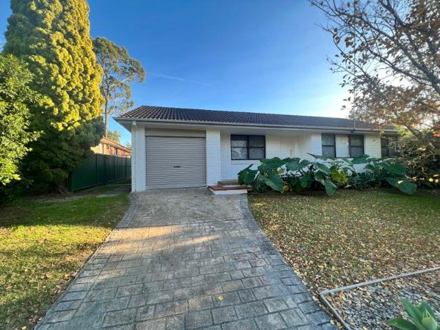 Beautifully Renovated Family Home