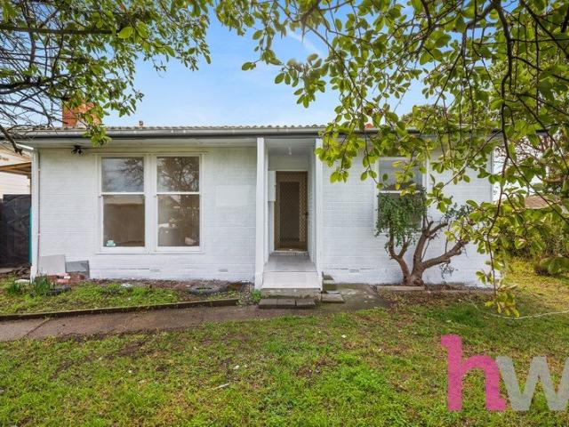 Beautifully Renovated Family Home with Huge Yard and shed