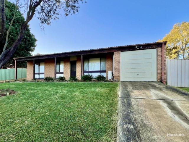 Beautifully Renovated Family Home with Solar & Outdoor Entertaining