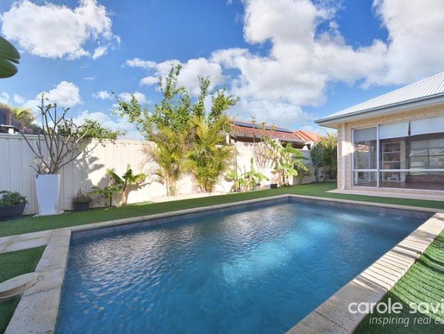 Beautifully Renovated Family Home with Stunning Pool & Outdoor Entertaining