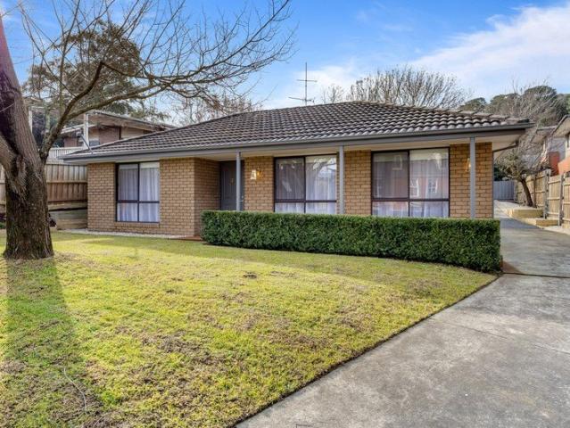 Beautifully Renovated Family Living in a Coveted Black Hill Location