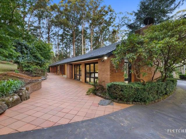 Beautifully Renovated Home on Acreage Bordering National Park