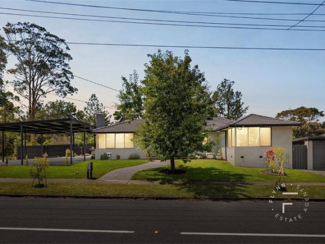 BEAUTIFULLY RENOVATED HOME ON EXPANSIVE 906SQM WITH SUBDIVISION POTENTIAL STCA