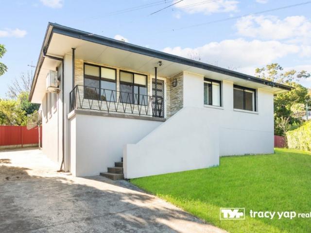 Beautifully Renovated Single Level Family Home
