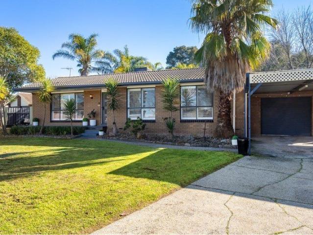 Beautifully Renovated Thurgoona Home with Shed