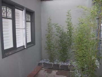 Beautifully renovated two bedroom terrace