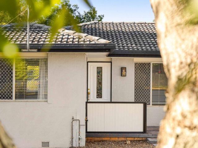 Beautifully Refreshed Living, Exceptional Outdoor Space & a Serious Shed!