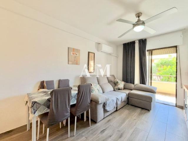 Beach Apartment for rent in Mil Palmeras, Pilar de la Horadada, Alicante