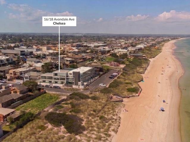 Beachfront. Bay Views. Beautifully Appointed