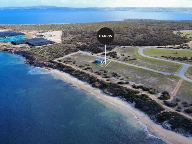 Beachfront Living Starts Here.
