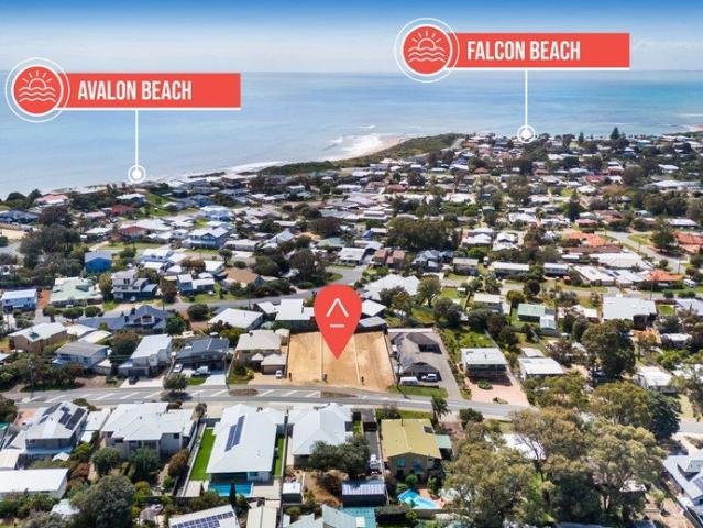 BEACHSIDE FALCON !