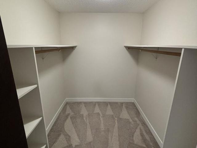 Beachwood 2 Bedroom Apartment for Rent at 1664 56 St, Delta, BC V4L 2M6
