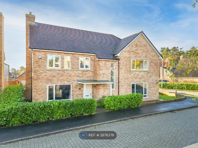 Beamish Way, Morpeth NE61, 5 bed detached house to rent, £3,000 pcm | PrimeLocation
