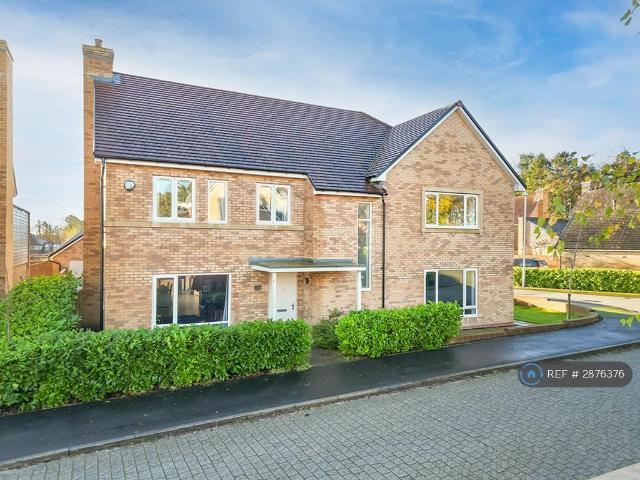 Beamish Way, Morpeth, NE61 5 bed detached house to rent £3,500 pcm £808 pw