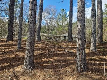 Bear Creek Rd
