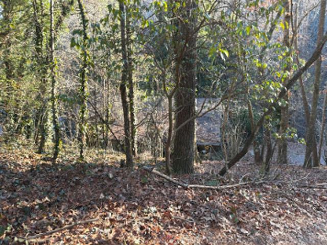 Bear Run Cir