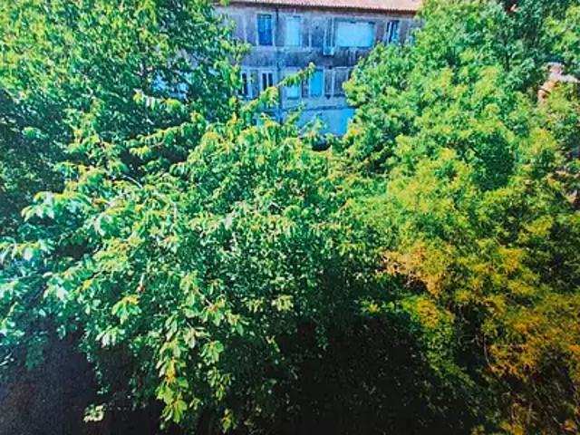 Bédarieux 34600 Achat / Vente appartement 3 pièces t3 au dernier étage