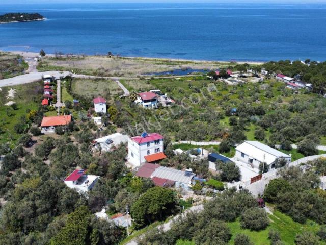 Bademli'de Denize 200 M Zeytin Bahçesi İçinde Müstakil Tripleks Villa