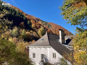 Beeindruckende Hammerherren Villa mit Weinkeller
