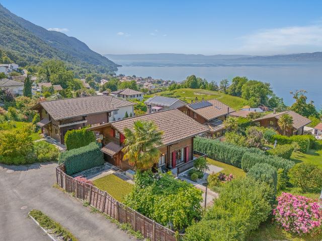 Beeindruckender Blick auf den Genfersee, absolute Ruhe