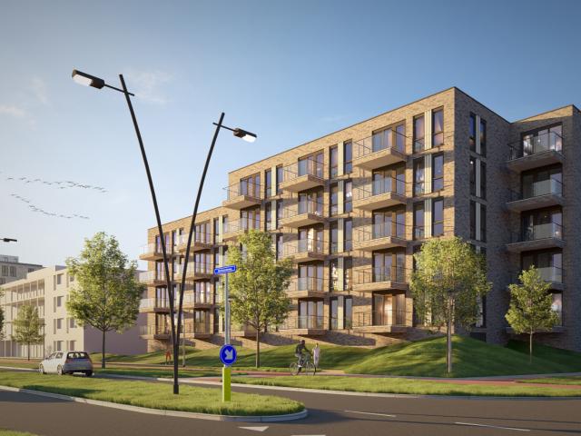 Beemdkroon 20