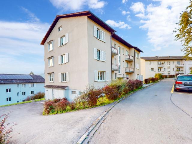 BEFRISTET FÜR 1 JAHR Gemütliche Wohnung in Horw