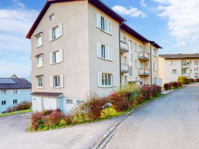 BEFRISTET FÜR 1 JAHR Gemütliche Wohnung in Horw