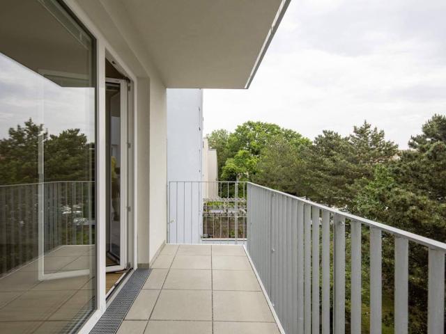 Befristet vermietete 3 Zimmer Wohnung mit Balkon und Stellplatz ein perfektes Investment!