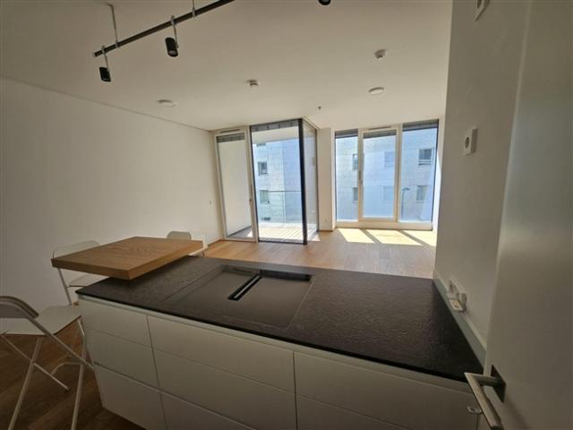 Befristet vermietete, luxuriöse und helle Wohnung mit Balkon und Loggia The Embassy Wien