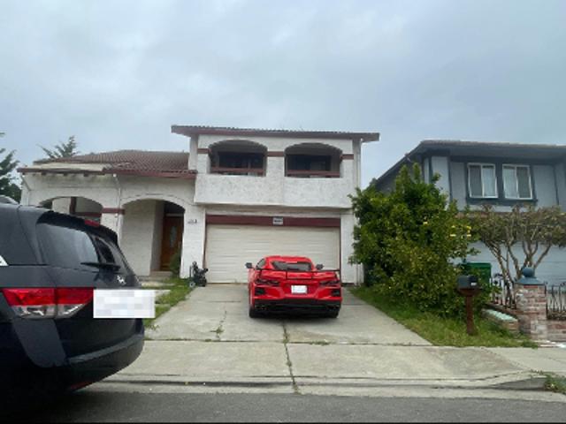 Begonia Dr