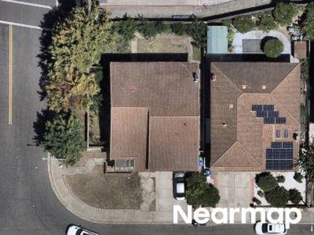 Begonia Dr