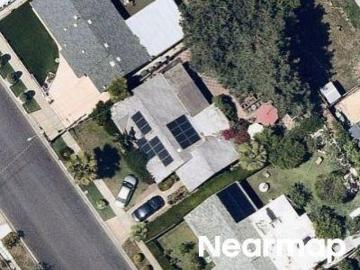 Begonia St