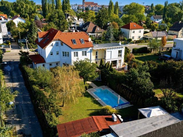 Beheizter Salzwasser Pool, Sauna, Weinkeller: Großzügiges Familienhaus mit Südgarten in Ruhelage an der Alten Donau