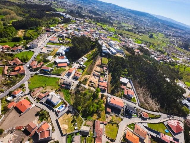 Beire Porto 106074607