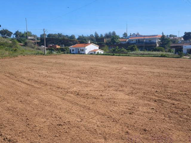 Beja Ourique 7670 101613009