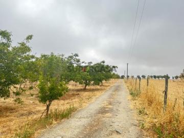 Beja Quinta T3 próximo da cidade