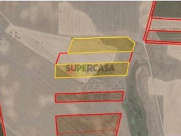 Beja| Terrenos agrícolas 2,5 ha| Venda Conjunta