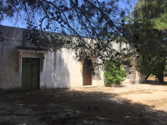 Bel casale da ristrutturare con uliveti secolari 250m² Ceglie Messapica