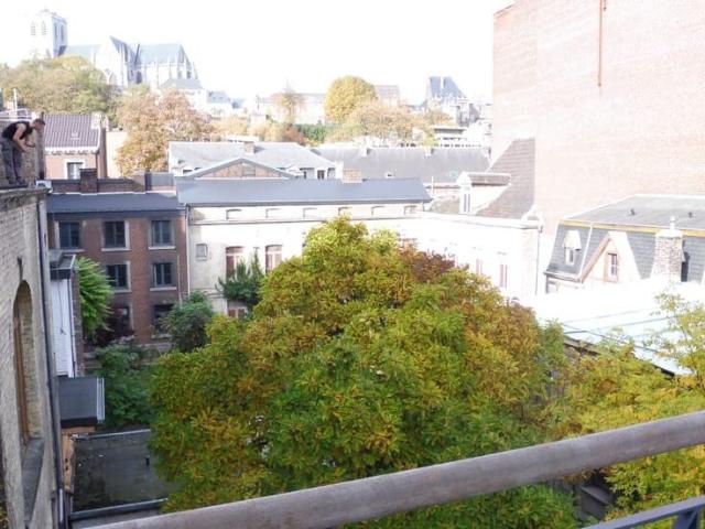 Bel Appart 1 ch en penthouse, calme, centre