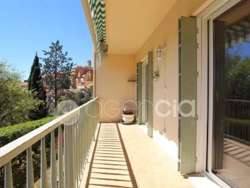 Le Plan de Grasse, Alpes-Maritimes - Cave