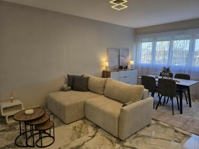 BEL APPARTEMENT 4 PIÈCES MEUBLÉ  MEYRIN