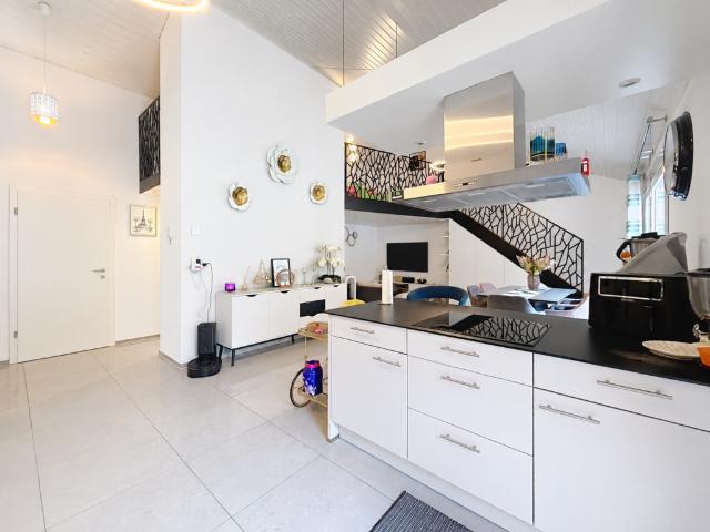 Bel appartement cosy en attique de 3.5 pièces avec Mezzanine et immense terrasse