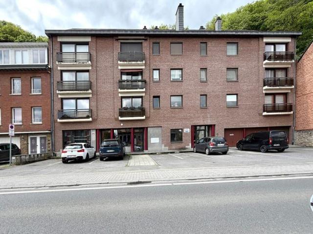Bel APPARTEMENT à deux pas du parc de La Plante, du centre e