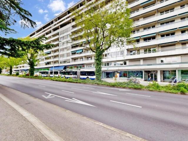 Bel appartement à proximité de la gare Cornavin